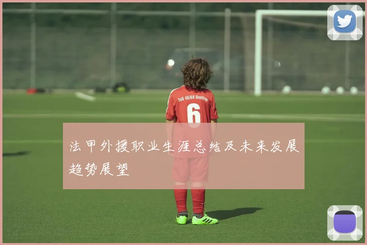 法甲外援职业生涯总结及未来发展趋势展望
