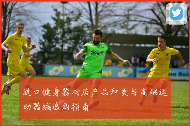 进口健身器材店产品种类与高端运动器械选购指南