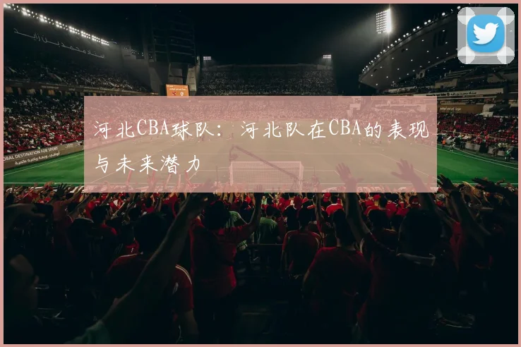 河北CBA球队：河北队在CBA的表现与未来潜力