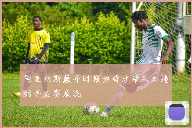 阿里纳斯巅峰时期为奇才带来久违的季后赛表现